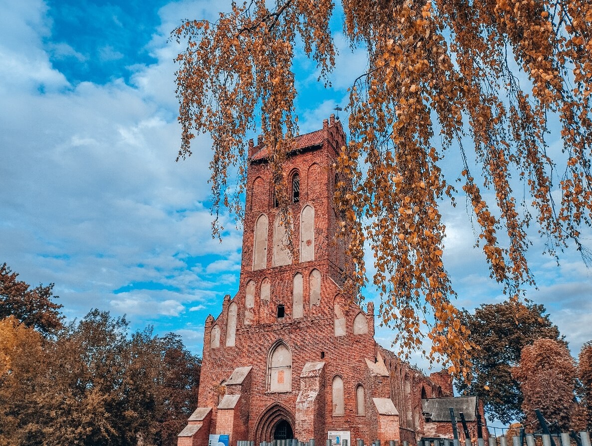 Янтарный Вояж