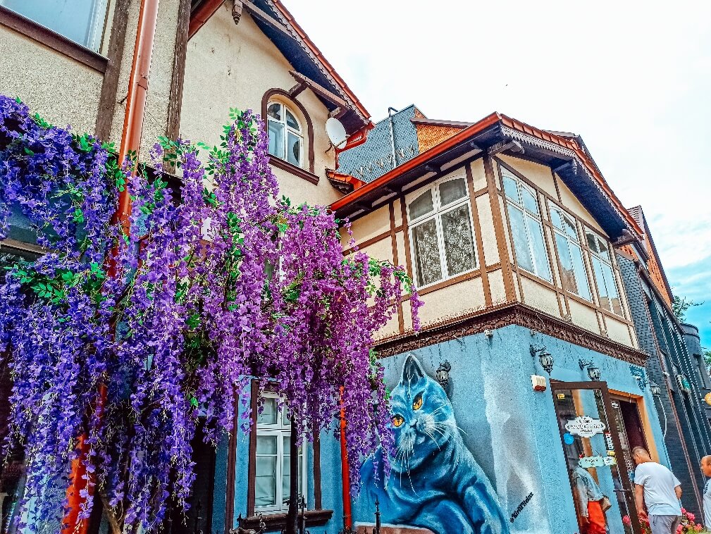 Знакомство с Янтарным Краем